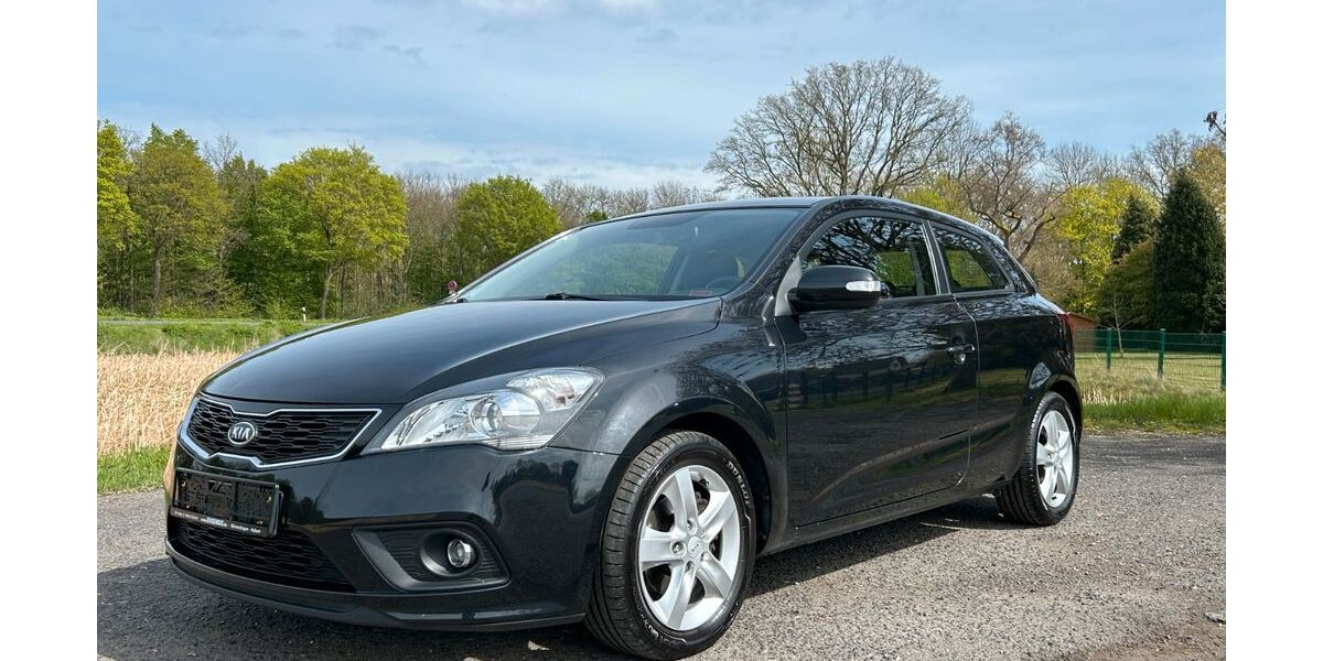 Kia ceed / Ceed 125.166 km 4.990 &euro; Neukirchen-Vluyn 47506