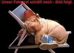 BMW X7 19.200 km 96.950 &euro; Essen 45134