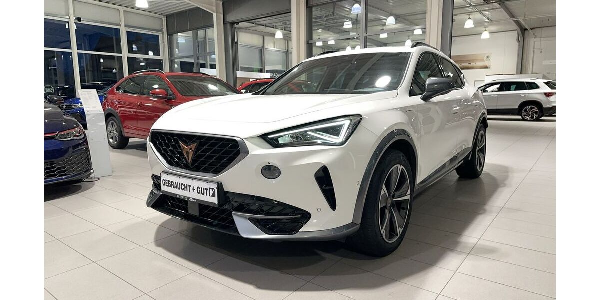 Cupra Formentor 59.130 km 24.750 &euro; Hünxe 46569