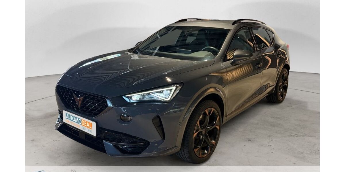 Cupra Formentor 41.872 km 29.877 &euro; Duisburg 47138