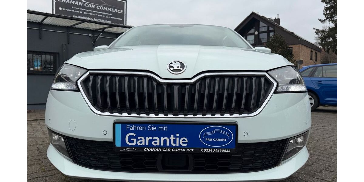 Skoda Fabia 134.300 km 9.950 &euro; Bochum 44791