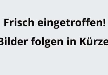 Ford EcoSport 32.140 km 16.690 &euro; Recklinghausen 45659