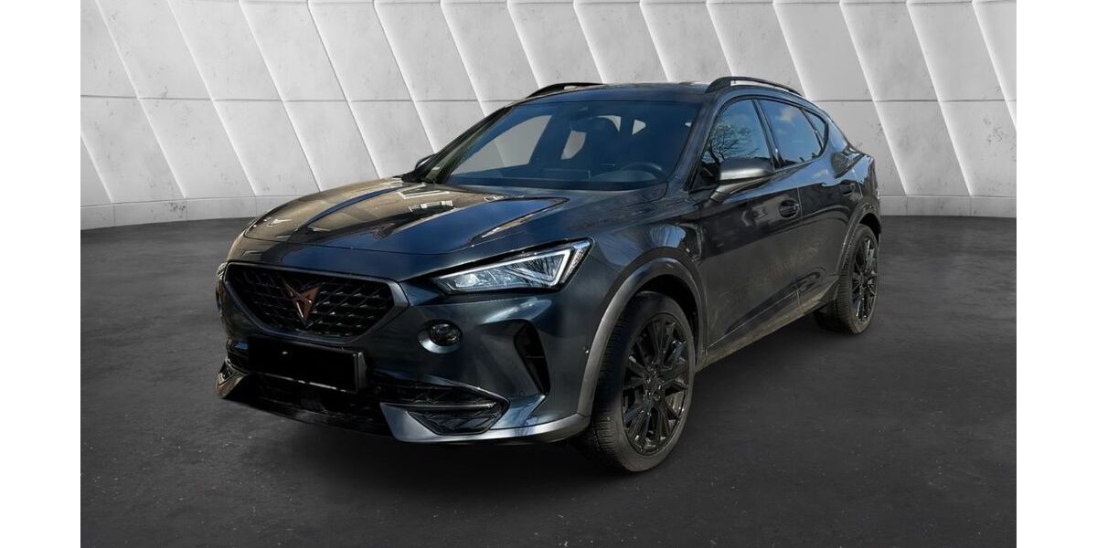 Cupra Formentor 38.000 km 29.500 &euro; Herten 45699